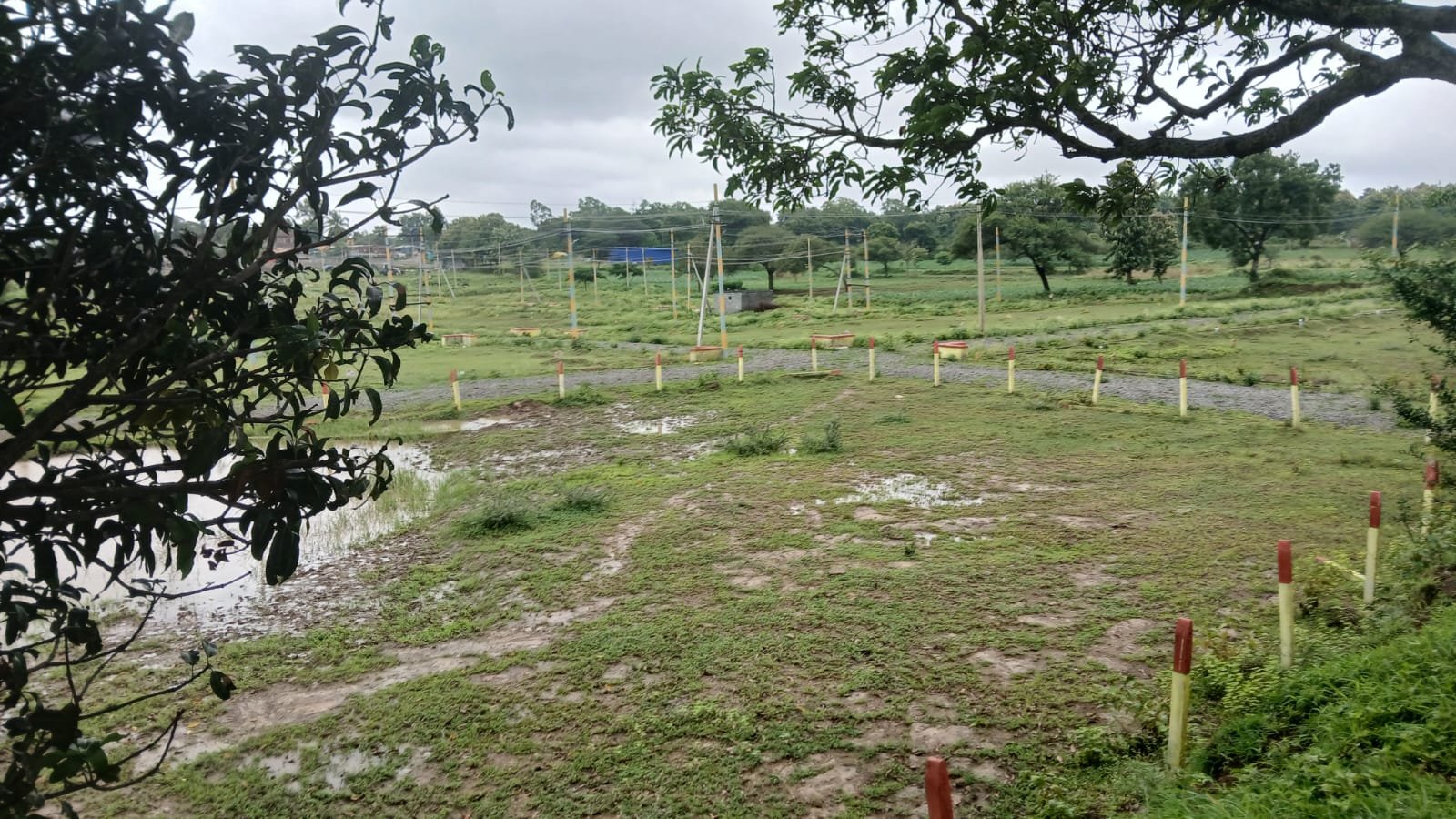 WhatsApp Image 2026-08-03 at 2.39.31 PM Agriculture Land