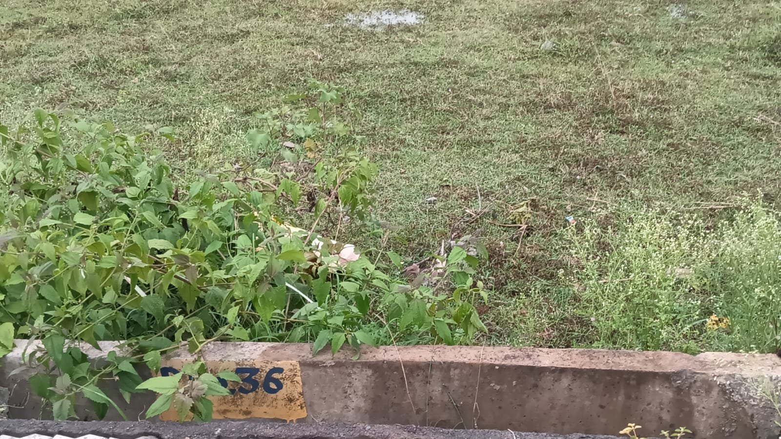 WhatsApp Image 2026-08-24 at 1.59.28 PM Residential plot for sale